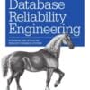 Database Reliability Engineering
