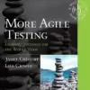More Agile Testing