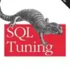SQL Tuning