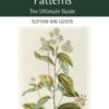 Software Design Patterns, The Ultimate Guide