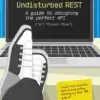 Undisturbed REST, A Guide to Designing the Perfect API