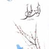لو كنت طيرا